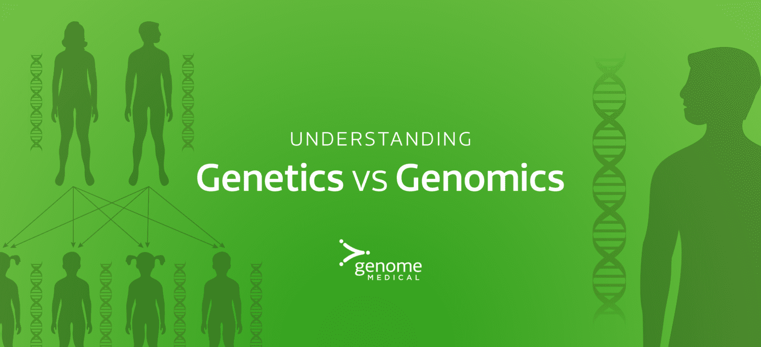gene sequence definition